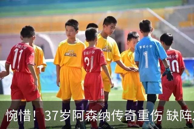 惋惜！37岁阿森纳传奇重伤 缺阵2个月 重返西甲后前5轮造7球比肩伊布