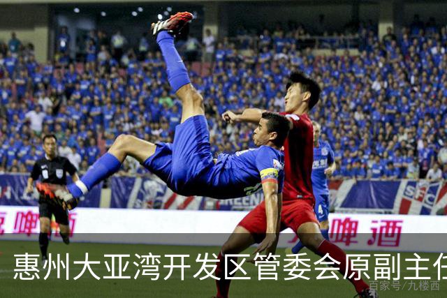 惠州大亚湾开发区管委会原副主任李耀楠被查