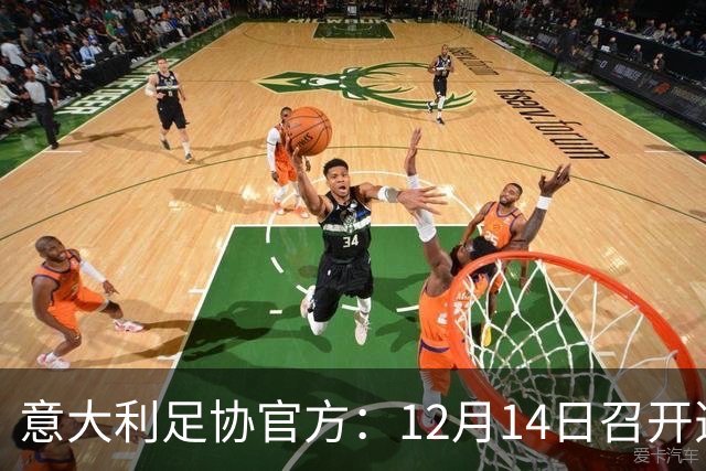 意大利足协官方：12月14日召开选举大会，会上将选出足协主席